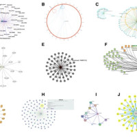 Integrated web visualizations for protein-protein interaction databases 