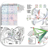 Why imaging data alone is not enough: AI-based integration of imaging, omics, and clinical data 
