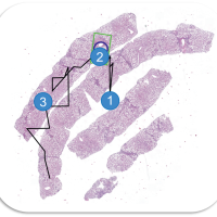 Convolutional and Recurrent Neural Networks for Activity Recognition in Smart Environment 
