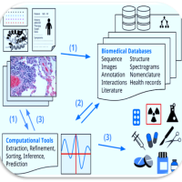 In silico cancer research towards 3R 
