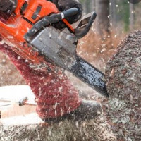 Machine Learning and Knowledge Extraction to Support Work Safety for Smart Forest Operations 